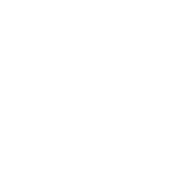 Daniel Sachs Foundation